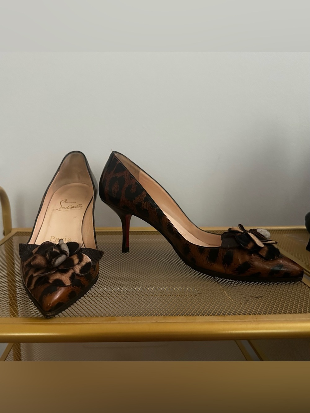 Christian Louboutin Leopard Print Pointed Toe Pumps with Bow - Brown & Black